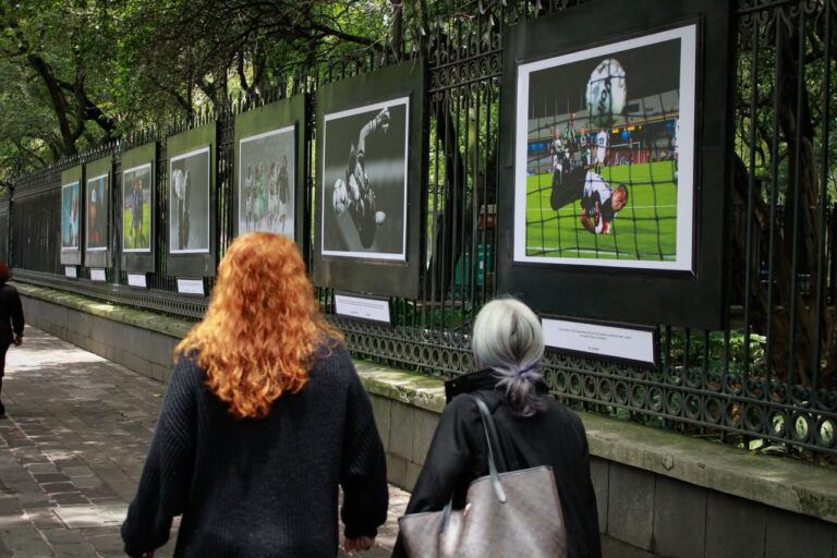 De las calles a las canchas: nuevas exposiciones convierten Chapultepec en un museo al aire libre