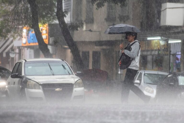 Tormenta deja daños en la CDMX: reportan árboles caídos, cortocircuitos y afectaciones viales