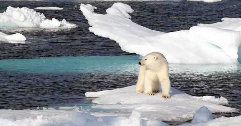 Trump desmantela red científica clave para estudiar océanos y cambio climático