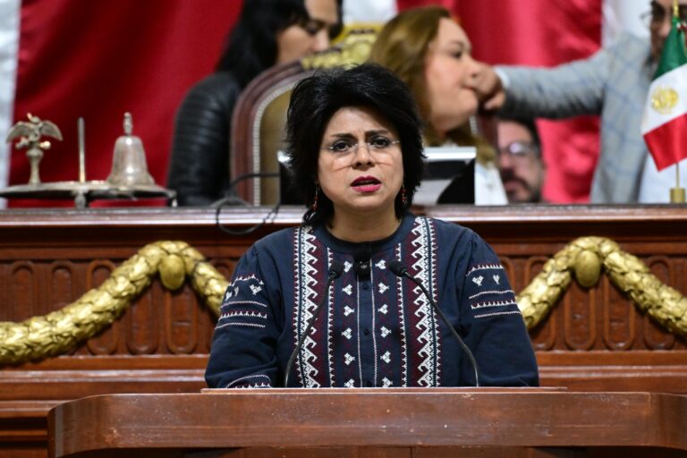 Maltrato animal: plantean unificar sanciones penales y eliminar infracciones cívicas en CDMX