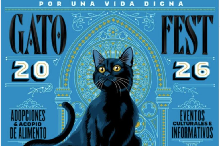 Gato Fest 2026 llega a CDMX: adopciones, bazar y una gran colecta para ayudar a más de 2 mil felinos