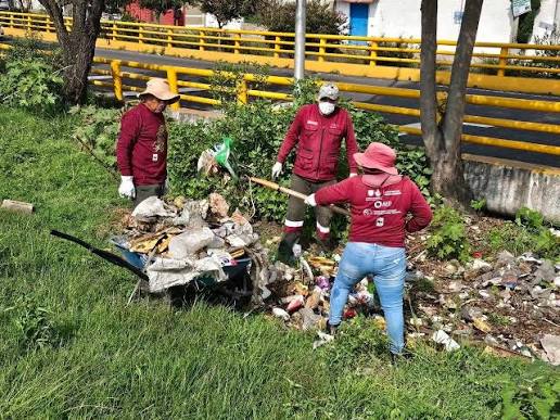 Limpieza en la Ciénega Chica busca reducir riesgos ambientales en Xochimilco