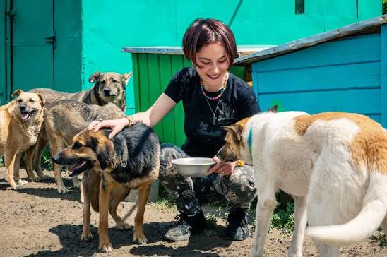 CDMX abre nueva etapa para la adopción responsable de perros; así funcionará el programa