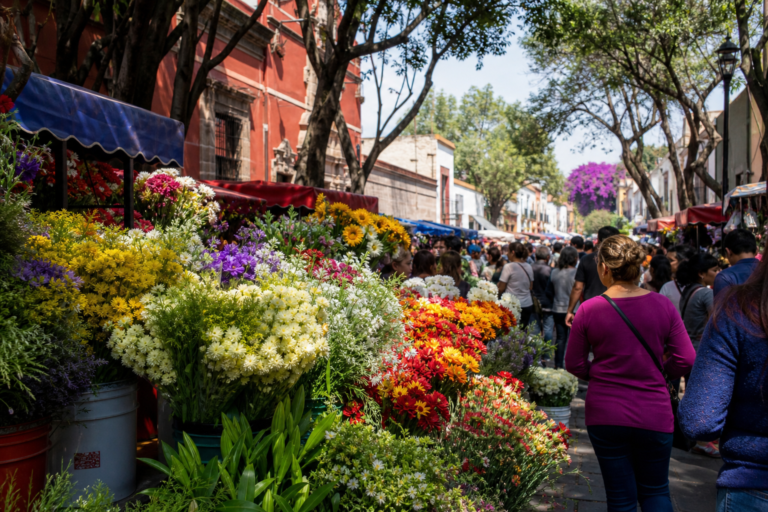 San Ángel: una feria de flores que cuenta la historia de la ciudad