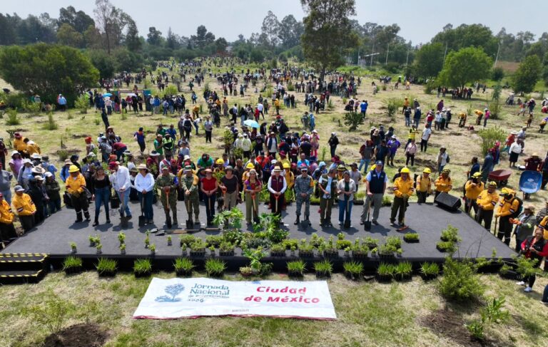 Plantan 35 mil árboles en CDMX ante la presión urbana sobre zonas de conservación