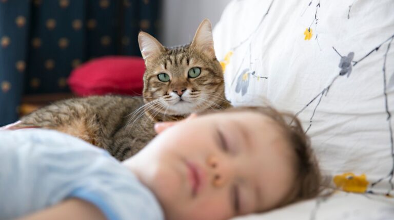 Los gatos también pueden ser terapeutas: estudio revela beneficios para niños con discapacidades del desarrollo