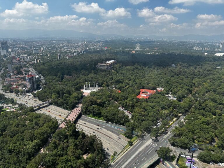 800 hectáreas de Chapultepec: el bosque cultural que cabría varias veces en el Zócalo