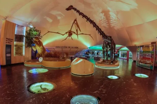Cocodrilos, astronomía y bioluminiscencia: la agenda científica del Museo de Historia Natural