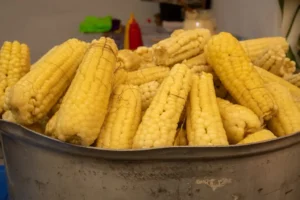 Elote, esquites y mucha música: así será la Feria Nacional del Elote 2026 en San Miguel Topilejo