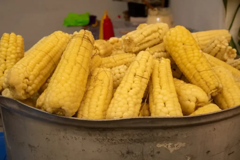 Últimos días para degustar elote, tortilla y sabores de pueblo: visita la Feria que convierte a Tláhuac en un paraíso del maíz