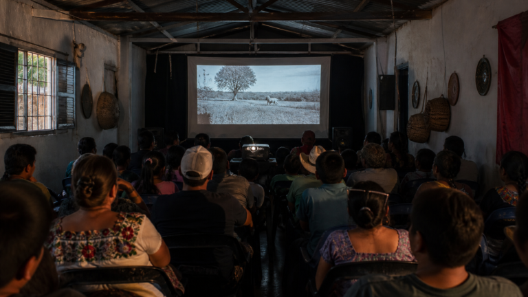 ¿Por qué exhibir cine también necesita apoyo público?