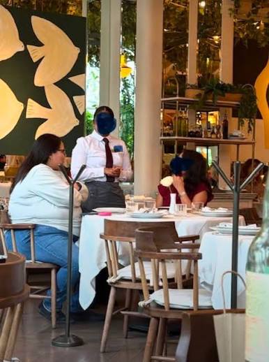 Entre austeridad y vida privada: Citlalli Hernández responde a polémica por comida en restaurante