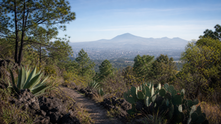 Parque Ecológico de la Ciudad de México: naturaleza y senderos en Tlalpan