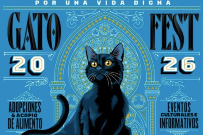 ¿Amante de los gatos? Así será el Gato Fest 2026 en CDMX