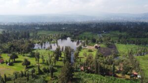 CDMX gana Premio Internacional Ciudad Verde 2026 por programa Altépetl Bienestar