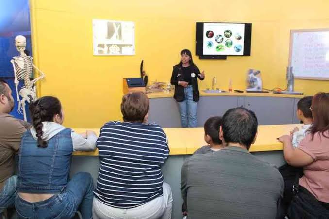 De las serpientes al fast fashion: así será la programación ambiental del Museo de Historia Natural