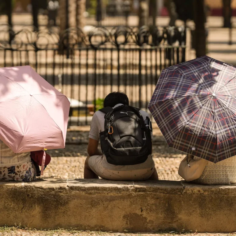 ¿Dónde protegerse del calor extremo? Proponen refugios climáticos en CDMX