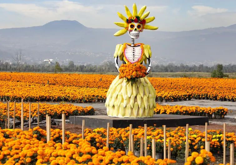 ¡Xochimilco se pinta de naranja! Así será la Ruta del Cempasúchil 2026