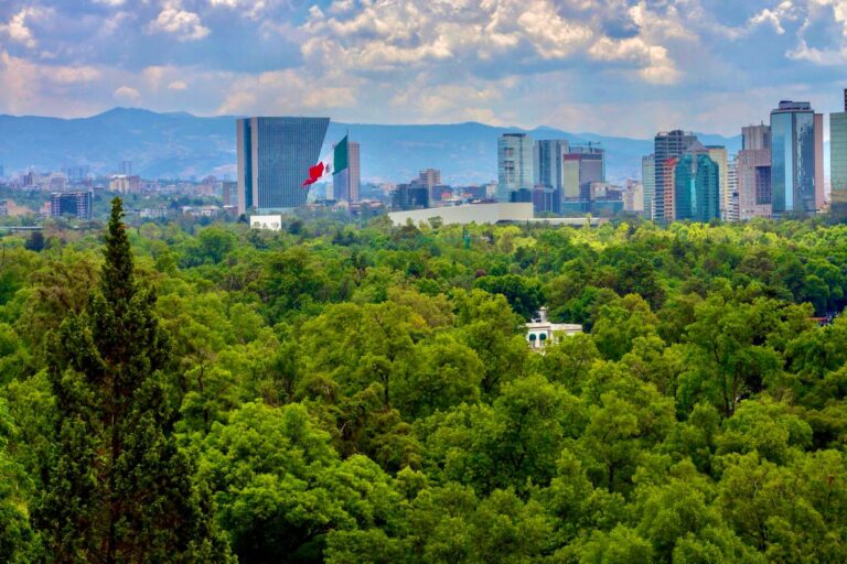 Entre árboles, agua y reciclaje: el balance ambiental presentado por CDMX