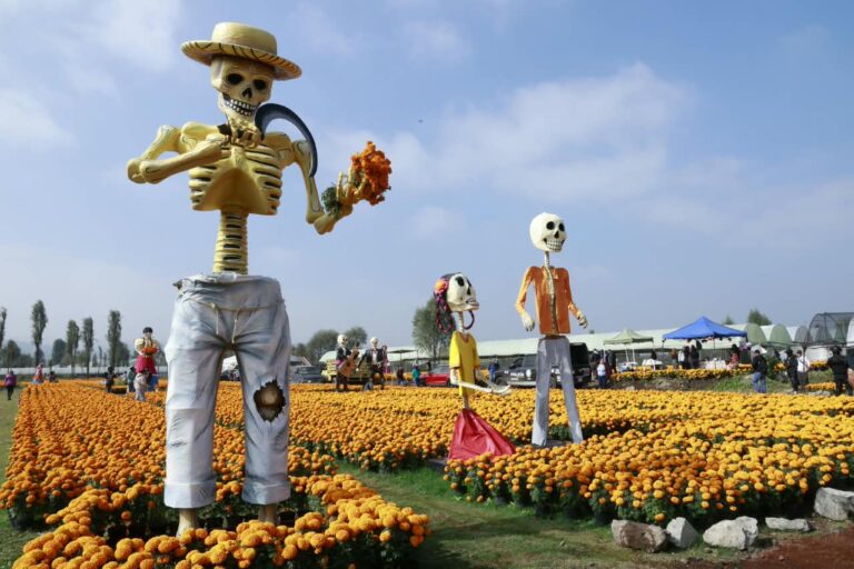 Cempasúchil, tradición y turismo: CDMX anuncia 5 mil actividades por Día de Muertos