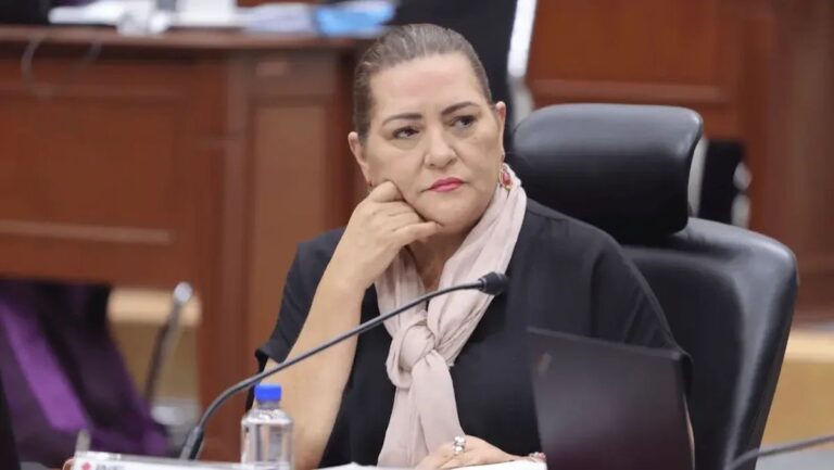 Chofer de Guadalupe Taddei aparece como apoderado de proveedor del INE