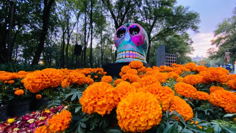 Chapultepec prepara tres días de tradición y cultura con “El Sendero del Cempasúchil”