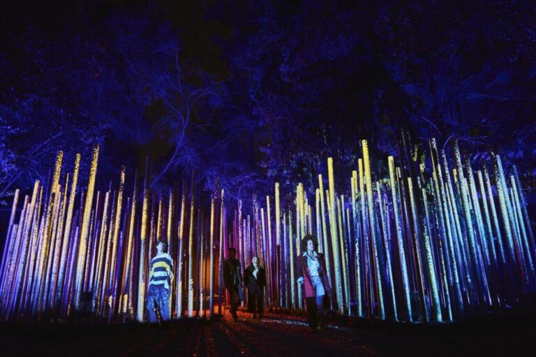 Light Cycles regresa a Chapultepec: fechas y detalles del recorrido nocturno