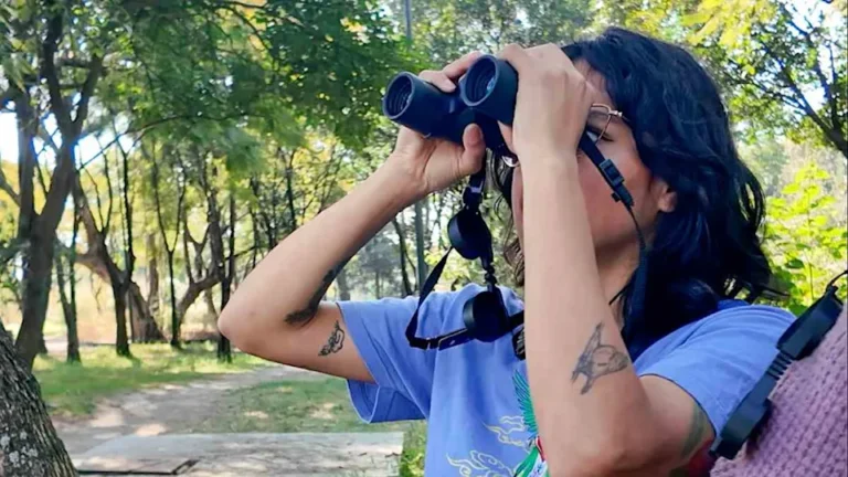 ¿Dónde observar aves en CDMX? Habrá recorridos en seis espacios naturales y un festival de aviturismo