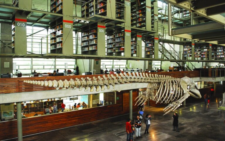 Día de Muertos en la Biblioteca Vasconcelos: cine de terror, talleres y actividades gratis en CDMX