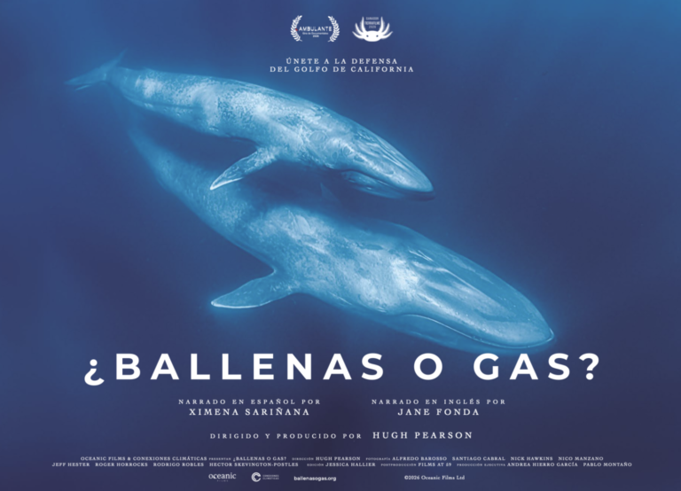 ¿Ballenas o gas? Jane Fonda y Ximena Sariñana alzan la voz por el Golfo de California